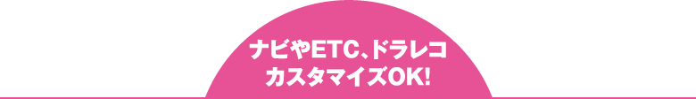 ナビやETC、ドラレコ カスタマイズOK!