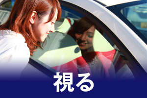 視る